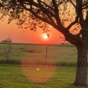 Meet your Posher, Ashtyn